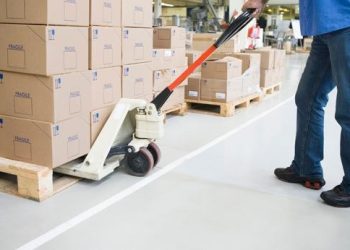Maximizing Efficiency: The Role of Palletised Distribution in Modern Logistics