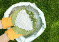 Grass Turf and Lawn Fertilizer: A Comprehensive Guide