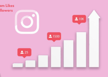 Buzzoid vs Twicsy vs Famoid – Which Service Offers the Best Value?