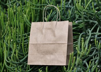 What is the Most Expensive Paper Bag?