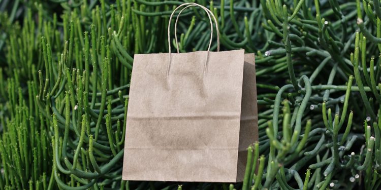What is the Most Expensive Paper Bag?