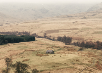 Hadley Palmer’s Vintage Toy Appraiser in Danbury, CT