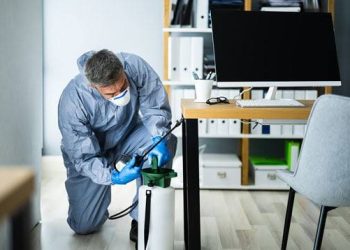 London Pest Control: Effective Solutions for a Pest-Free Home