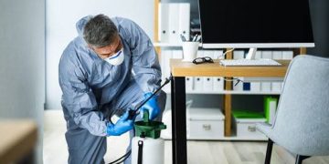 London Pest Control: Effective Solutions for a Pest-Free Home