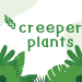 Creeper Plants: The Ultimate Guide to Beautiful and Functional Greenery