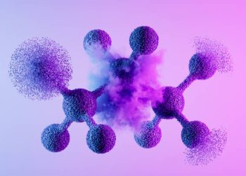 Everything You Need to Know About Tripsitter.com