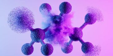 Everything You Need to Know About Tripsitter.com