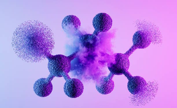 Everything You Need to Know About Tripsitter.com