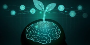 Magazine Health Exploring the Intersection of Media and Wellbeing