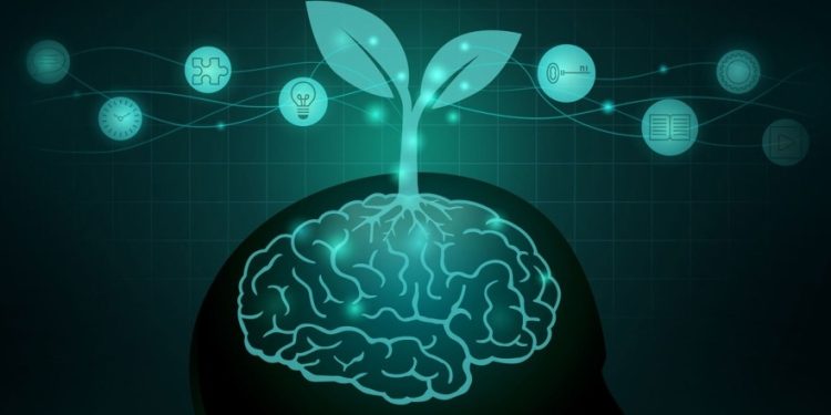 Magazine Health Exploring the Intersection of Media and Wellbeing