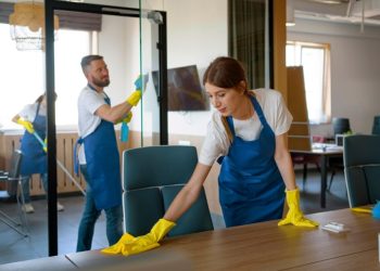Top Cleaning Myths Debunked by Pros