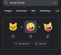Creat Your Own Emojis with Emoji Kitchen