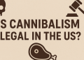 is cannibalism legal in the us