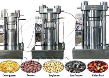The Pros and Cons of Hydraulic Oil Press Machines Compared to Screw Oil Press Machines