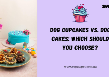 Dog Cupcakes vs. Dog Cakes: Which Should You Choose?