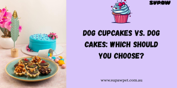 Dog Cupcakes vs. Dog Cakes: Which Should You Choose?