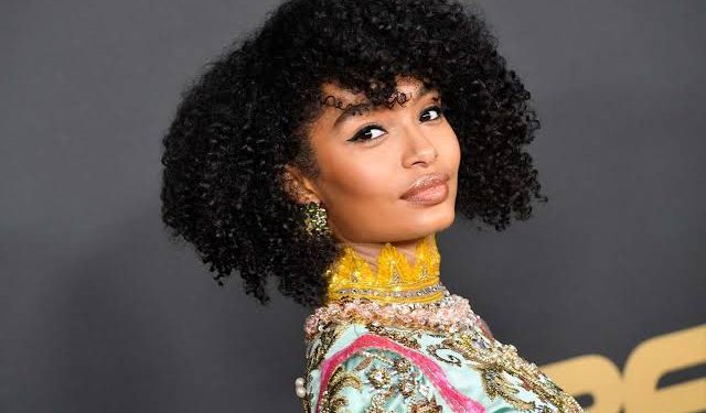 Curly Bob Wig: Embrace Volume and Texture for a Chic Appearance