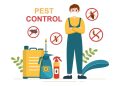 Effective Strategies for Pest Control in Wollongong