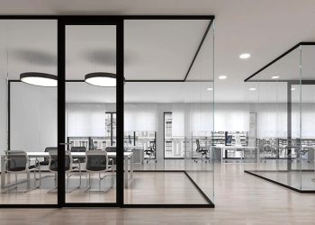 Maximizing Space: Glass Partitions for a Modern Home Office