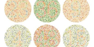 Book an eye test at 1001 Optometry