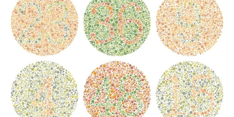 Book an eye test at 1001 Optometry