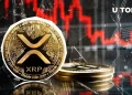 How Ripple’s Value Shifts Reveal Broader Crypto Market Signals