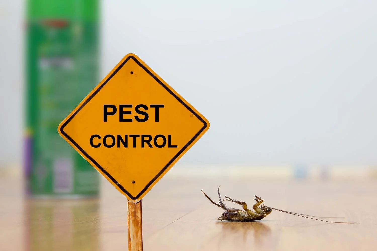 Effective and Reliable Pest Control Solutions in Southern Highlands